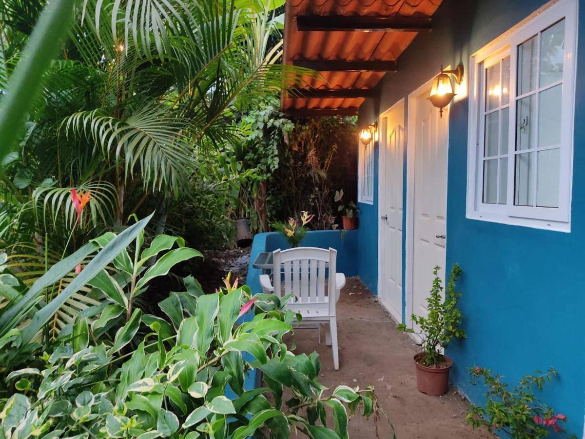 Hostal & Cafe Travelers سانتياغو المظهر الخارجي الصورة